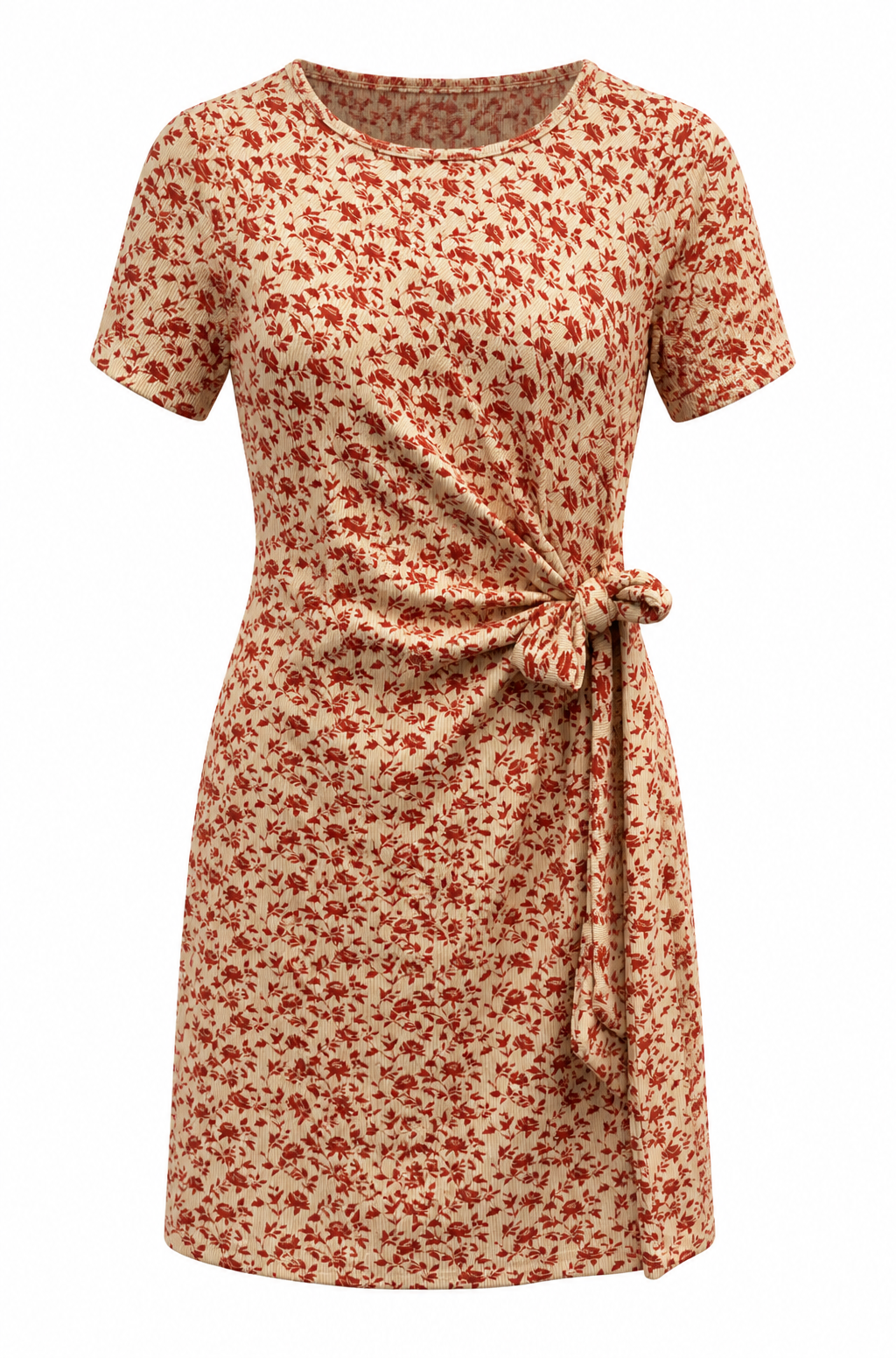 Dress E-R6513