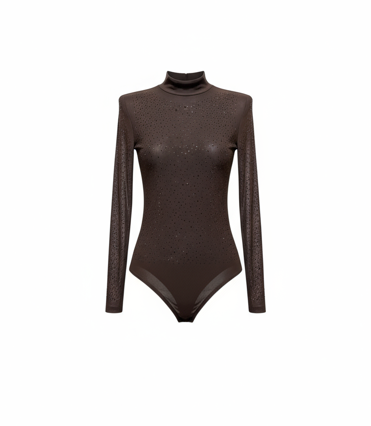 Black Sheer Bodysuit with Sparkle Detailing – High Neck Long Sleeve Bodysuit 1001